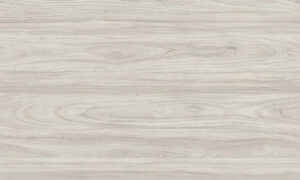 D4102 CS SWISSKRONO MFC