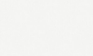 D4214 TX SWISSKRONO MFC