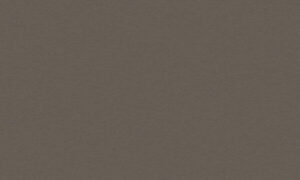 D4454 VL SWISSKRONO MFC