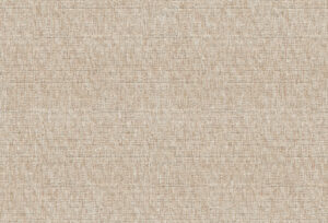 D70561 TO SWISSKRONO MFC