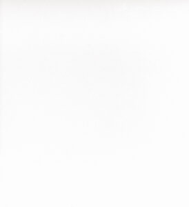 U8681 VL SWISSKRONO MFC